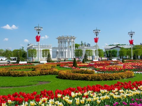 فيديو: مركز الحديقة على طريق موسكو السريع 