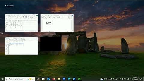 Descriptive Stats & Visual Snapshots in Excel (Business Ecology)