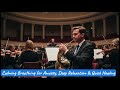 👉🏻 Relaxing Study Music for Deep Focus: Concentration, Writing & Reading Ambiance for Class
