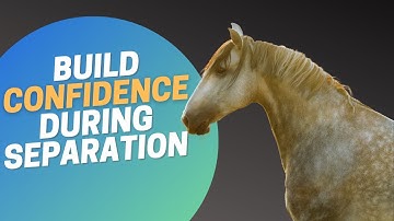 Easy 10-minute Exercise  to Help Herd Sour Horses with Separation Anxiety