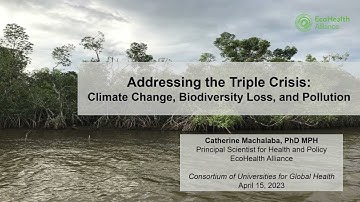 CUGH 2023 Plenary 6: Addressing the Triple Crisis: Climate Change, Biodiversity Losses and Pollution