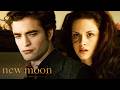 Paper Cut Almost Turns Deadly | Twilight Saga: New Moon (2009) | Kristen Stewart, Robert Pattinson