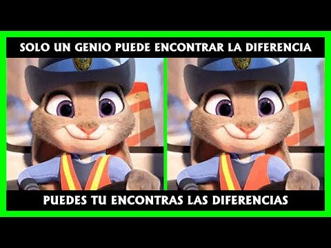Vídeo: Diferencia Entre Foto E Imagen