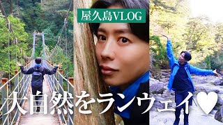 【屋久島旅行】小田切ヒロの探検シリーズ🤍 屋久杉ランドで大自然を感じながらランウェイしちゃったわよ〜🤍