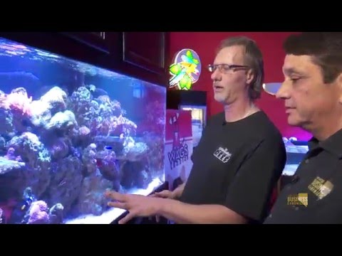 strictly-reef-/-consign-furniture-as-seen-on-nevada-business-chronicles