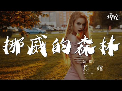 挪威的森林 - 孫露『那裏湖面總是澄清』【動態歌詞Lyrics】