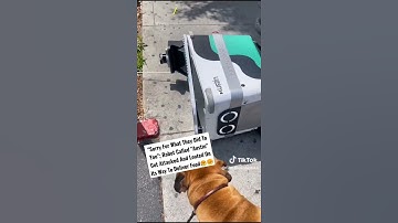 Robot Was Robbed While Delivering Food😞😥❗❗ #trending #viralvideo #robots #robot #robotic #robotdog