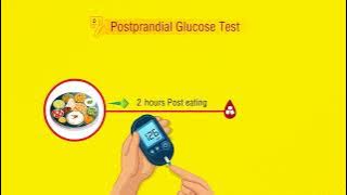 Understanding high blood sugar, how to control blood sugar