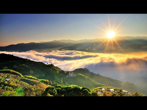 仙杜拉 風雲