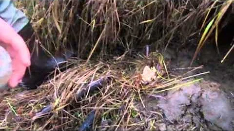 Mountain Man Journals 2013-2014 Trapping Season Vid 8