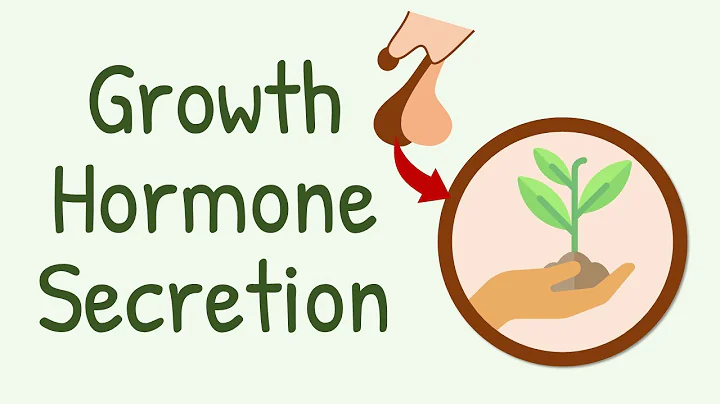 Growth Hormone Secretion - DayDayNews