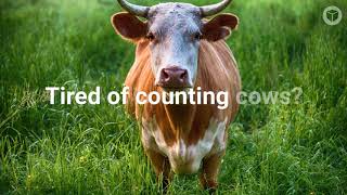 From Cow to Capp screenshot 5