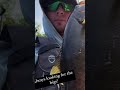 2023 Kayak Bass Fishing #fishingshorts #kayakbassfishing #bassfishing #fishing #kayak #outdoors