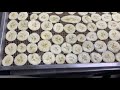 Конвеєрна сушильна установка для сушки бананів від УкрСушка