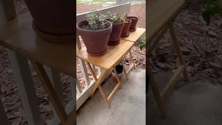 Quick Patio Refresh with Upcycled TV Trays | DIY Plant Stand Ideas