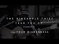 The Pineapple Thief - Tear You Up (acoustic) (from Your Wilderness)