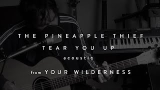 The Pineapple Thief - Tear You Up (acoustic) (from Your Wilderness)