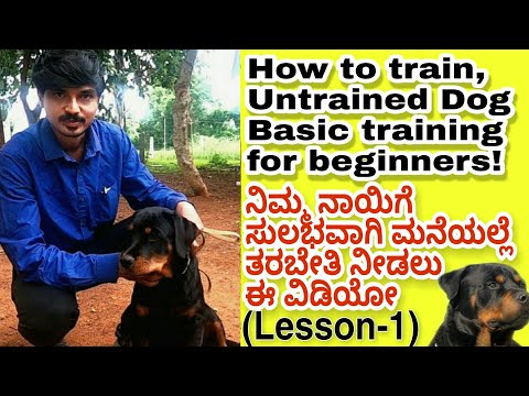 Dog training in Kannada | sit and up command| Basic training for beginners|