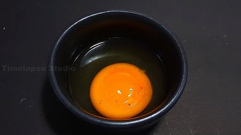 Black Fungus Breaking Egg Yolk | Egg Time-lapse | Food Time-lapse
