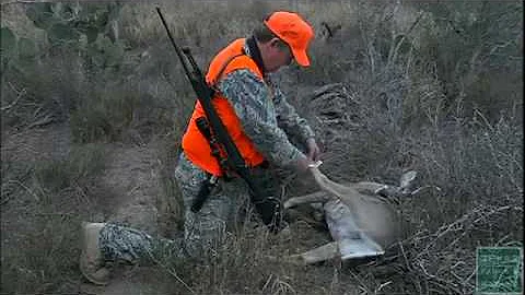 Avoid these Common Deer Season Hunting Violations