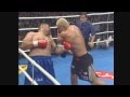 ジェロム・レ・バンナ VS マーク・ハント 3