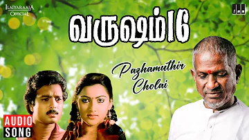 Pazhamuthir Cholai Song | Varusham 16 | Ilaiyaraaja | K J Yesudas | Karthik, Khushbu | Vaali