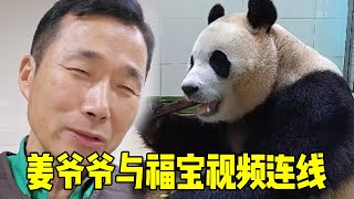 姜爷爷与福宝视频连线看到它现在状态笑的合不拢嘴【旺仔说动物】