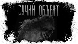 История на ночь. Сучий объект. История на ночь. Сучий объект.