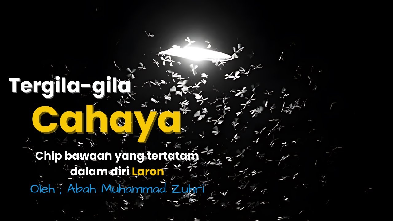 Dorongan isi program ruh kita seperti laron yang selalu mengejar cahaya II Fatwa Kehidupan