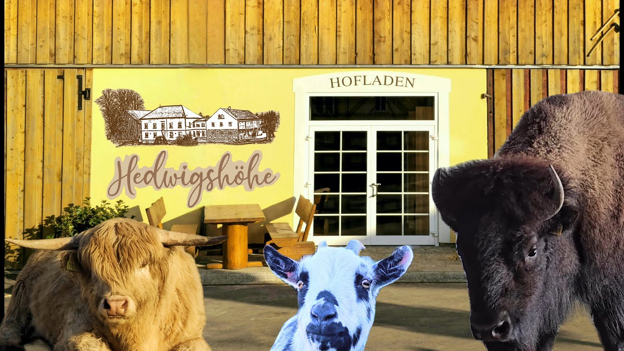 Hofladen Hedwigshöhe I Imagetrailer 2024 I Ehrenberg I Sächsische Schweiz