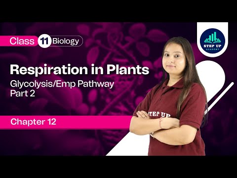 Glycolysis/Emp Pathway -