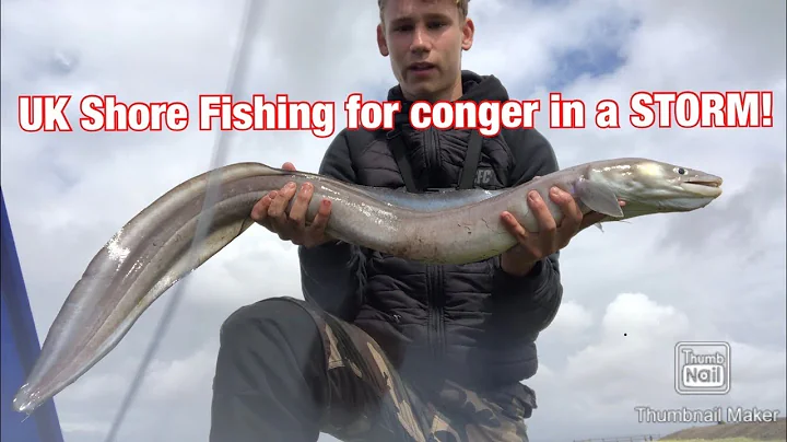 UK Shore Fishing for conger in a STORM!