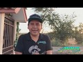 🇲🇽la persona que miro a CHALINO SANCHEZ sin vida esto dijo😢