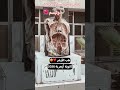 طب الأزهر حلم الثانوية الأزهرية 2026 كلية الطب الازهر الشريف  تحفيز ثانوية عامة طب