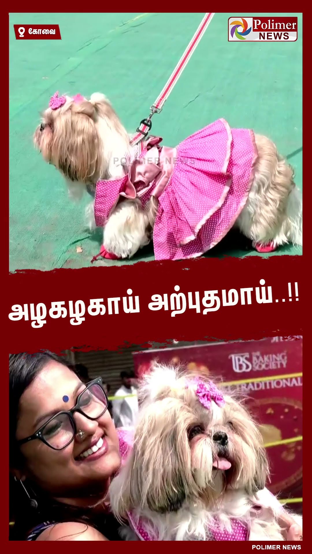 அழகழகாய் அற்புதமாய்.. கண்களை கவர்ந்த ஃபேஷன் ஷோ ! #shorts