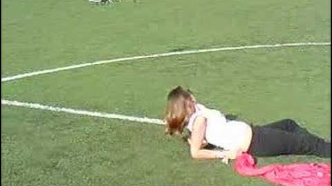 t-rex 450 se v2  first fly