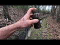 Searching For Bottles In A North Carolina Swamp
