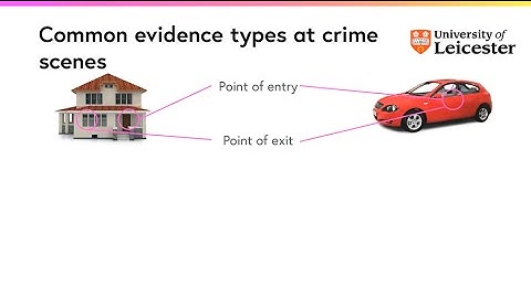 What are the common evidence types at crime scenes?