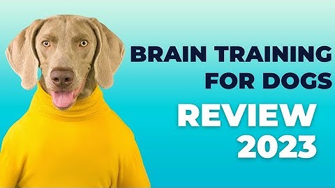 Brain Training For Dogs Review 2023 - Unique Dog Training Course - Mental Training For Dogs