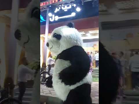 تنظيم حفلات افتتاح محلات وشركات
