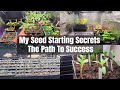 Seed starting secrets stepbystep guide to growing veggies indoors