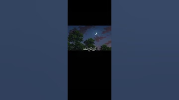 مُحَمَّدٌ رَسُولُ اللَّهِ وَالَّذِينَ مَعَهُ أَشِدَّاءُ ||تلاوة خاشعة بصوت الشيخ ماهر المعيقلي 💗🌿