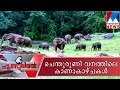 A trip to Shenduruney wildlife sanctuary - Choonduviral 18-09-2016 | Manorama News