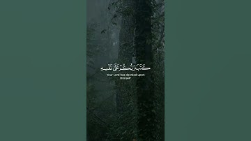 "وإذا جاءك الذين يؤمنون بآياتنا" تلاوة خاشعة بصوت إدريس ابكر | حالات واتس اب قران | سورة الأنعام