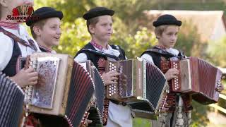 Harmoniková akadémia - Nedela pondelek , Žala som trávičku