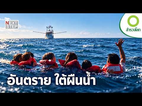 ใต้ทะเลไม่ได้มีแค่ความสวยงาม แต่เต็มไปด้วยนักล่าอันตราย | สารคดี สำรวจโลก ตอน อันตรายใต้ผืนน้ำ