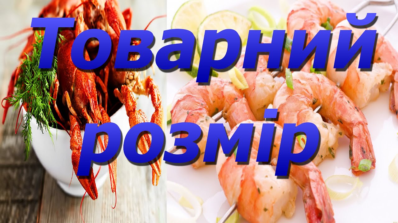 Що я вважаю товарним розміром у рака Аккр та креветки !