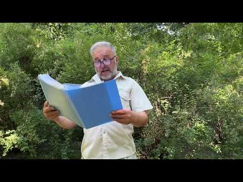Гумореска ГИЧКА ЧАРІВНИЧКА Андрій Степанко