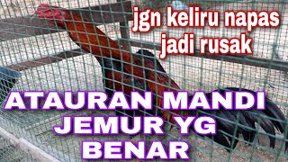 Tata cara mandi jemur yang benar‼️sahabat bkl