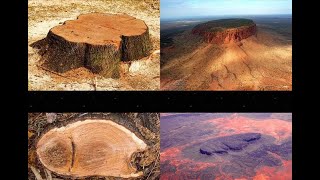 226. Когда деревья были большими: краткая история цивилизации на планете Земля. Радиация.